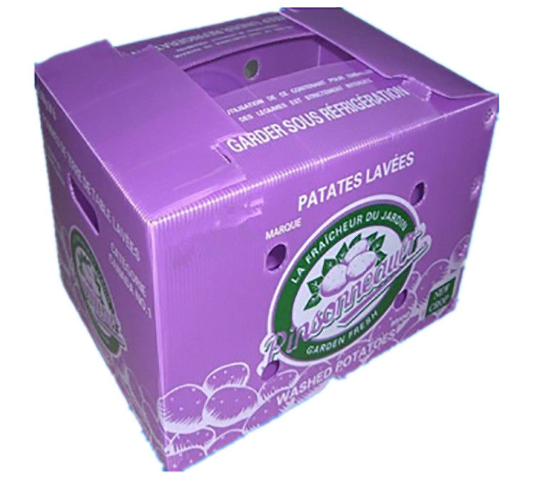 Emballage de fruits et légumes en carton PP en plastique Boîtes d'emballage de raisins Boîtes de brocoli en plastique Feuille de gingembre ondulée