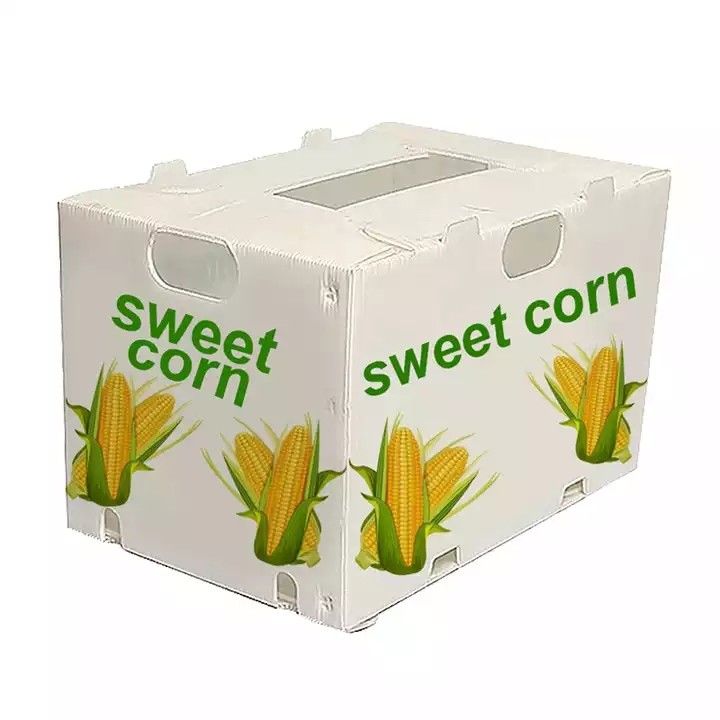 Corruone Chine Fabricant PP polypropylène Matériau Correx Coreflute Boîtes en plastique ondulé Fruits et légumes boîtes