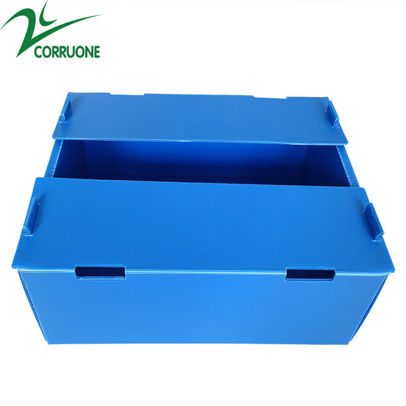 Vente à chaud à Corruone Feuille de polypropylène PP pliable imperméable à l'eau sur mesure Matériau Fruits et légumes Emballage et livraison Boîtes
