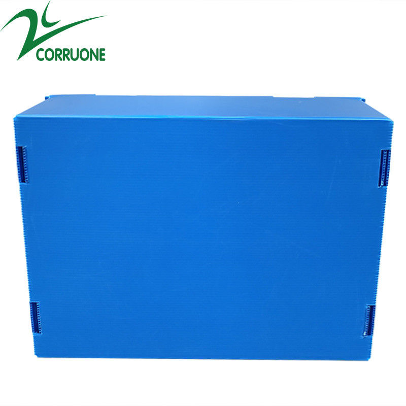 Vente à chaud à Corruone Feuille de polypropylène PP pliable imperméable à l'eau sur mesure Matériau Fruits et légumes Emballage et livraison Boîtes
