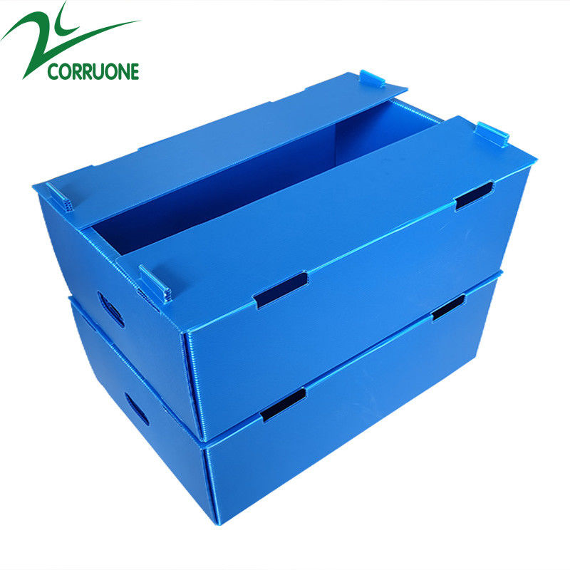 Vente à chaud à Corruone Feuille de polypropylène PP pliable imperméable à l'eau sur mesure Matériau Fruits et légumes Emballage et livraison Boîtes