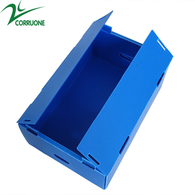 Vente à chaud à Corruone Feuille de polypropylène PP pliable imperméable à l'eau sur mesure Matériau Fruits et légumes Emballage et livraison Boîtes
