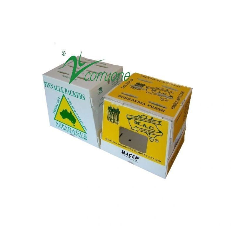 Boîte pliable en polypropylène de PP corrigé en papier corrugé en feuilles de plastique