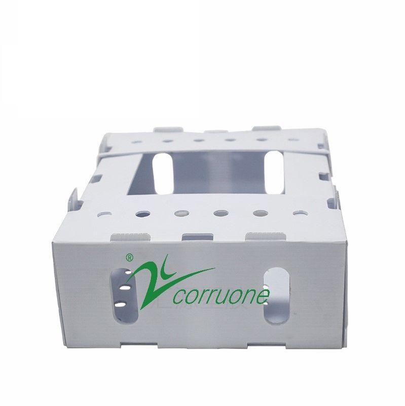 Corruone PP en polypropylène danpla boîte en plastique correx panneau de protection feuilles de polyflute boîtes d'emballage en plastique ondulé