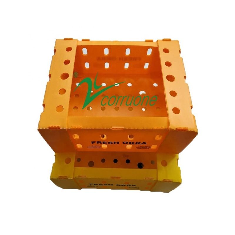 Corruone PP en polypropylène danpla boîte en plastique correx panneau de protection feuilles de polyflute boîtes d'emballage en plastique ondulé