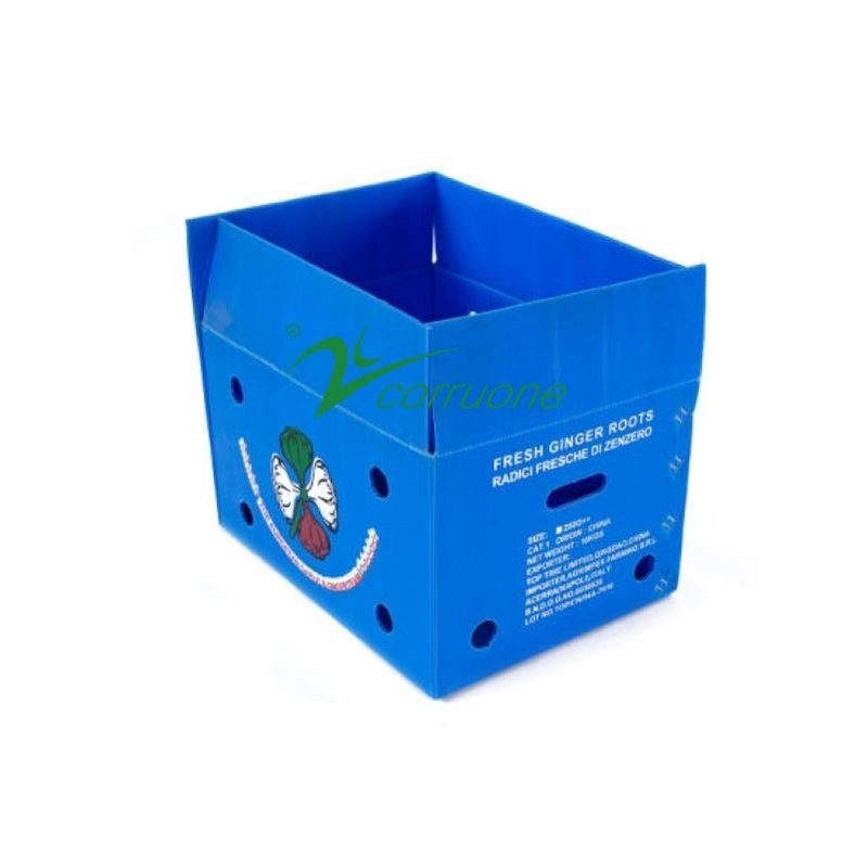 Boîtes d'emballage de fruits et légumes en PP en carton en plastique Boîtes d'emballage de raisins Boîtes de brocoli en plastique Boîtes ondulées Boîte de gingembre