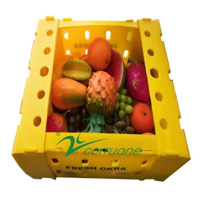 Boîtes d'emballage de fruits et légumes en PP en carton en plastique Boîtes d'emballage de raisins Boîtes de brocoli en plastique Boîtes ondulées Boîte de gingembre