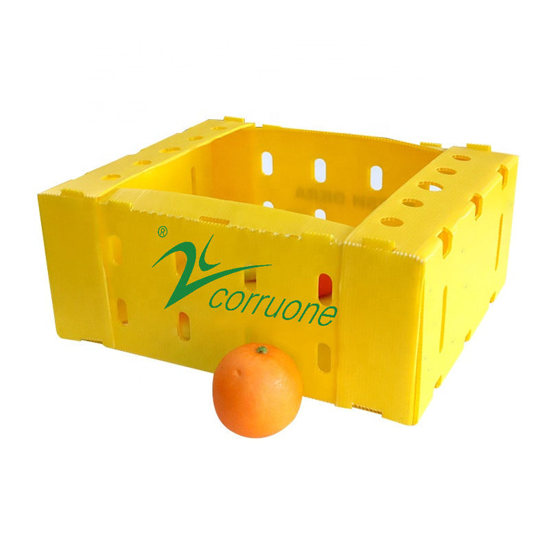 Boîtes de rangement bleues de Coroplast de boîte de la livraison de fruits de mer de Corflute pp
