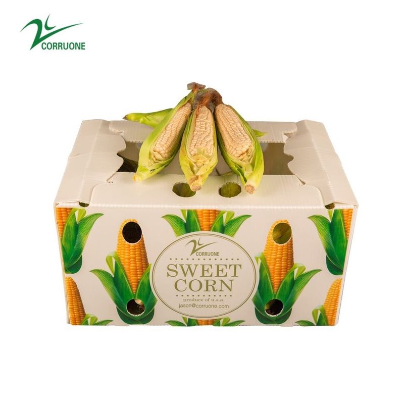 Le fruit de maïs a ridé les boîtes de empaquetage de Correx de banane de boîtes
