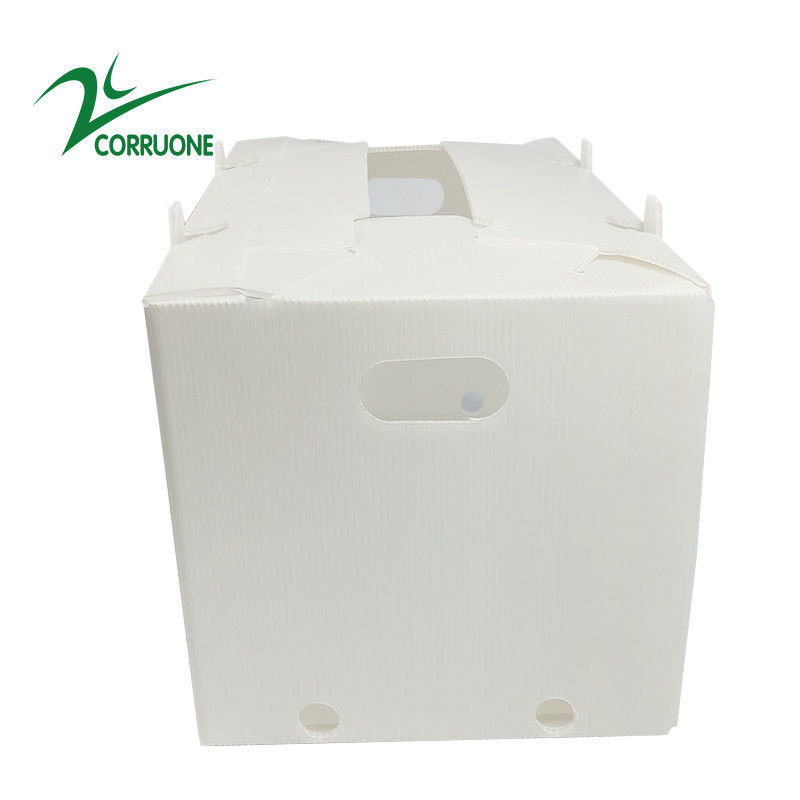 boîtes en plastique ondulées pliantes creuses de Coroplast Correx de carton de 2mm-11mm