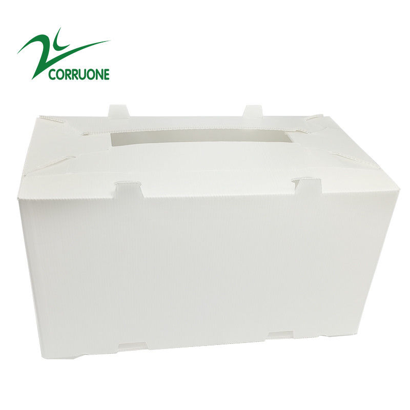 boîtes en plastique ondulées pliantes creuses de Coroplast Correx de carton de 2mm-11mm