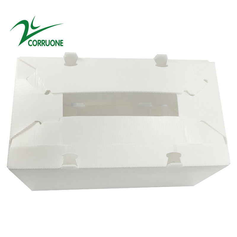 boîtes en plastique ondulées pliantes creuses de Coroplast Correx de carton de 2mm-11mm