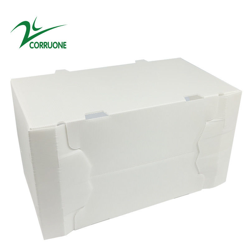 boîtes en plastique ondulées pliantes creuses de Coroplast Correx de carton de 2mm-11mm