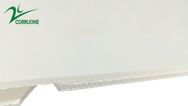 boîtes en plastique ondulées pliantes creuses de Coroplast Correx de carton de 2mm-11mm