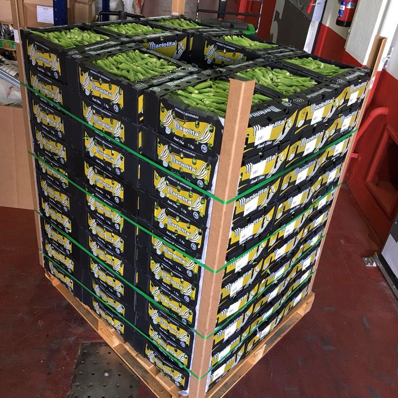 Vente en gros d'emballages carrés en plastique transparent pliable et ondulé