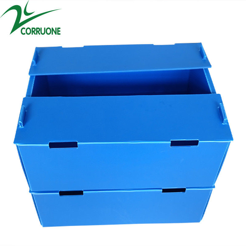 Le fruit jumeau de mur a ridé le bleu de boîtes de rangement de Coroplast de boîtes