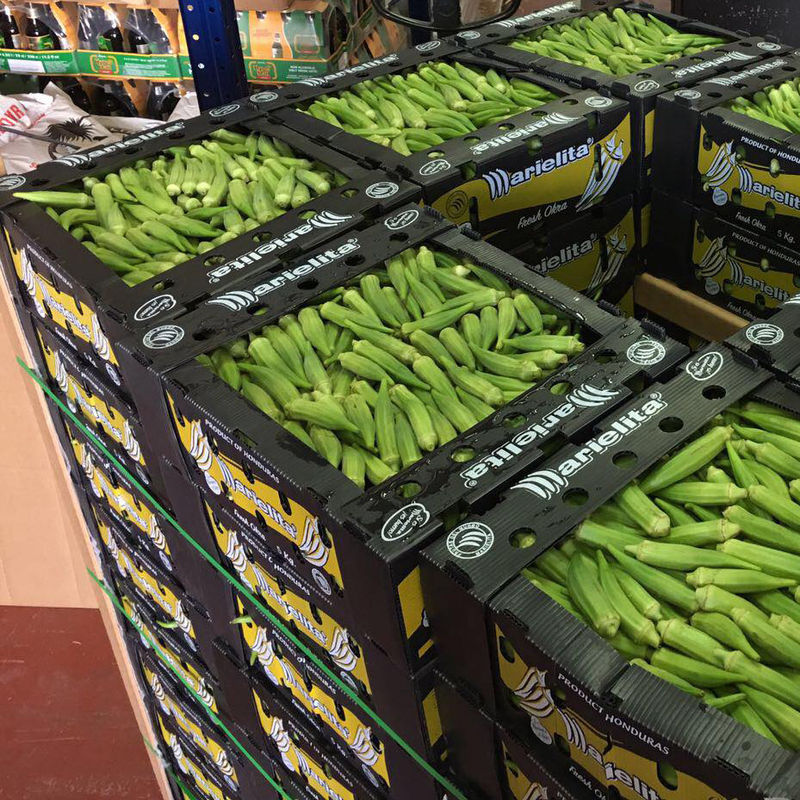 Le fruit de gombo de Corflute a ridé des boîtes que pp ont ridé le boîtier en plastique