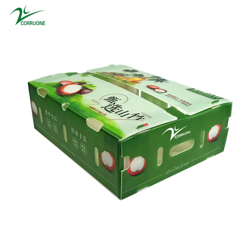 Boîte en plastique ondulé en PP pour les légumes et les fruits Boîte Corflute correx Boîtes d'emballage pour le maïs, le brocoli et l'agriculture