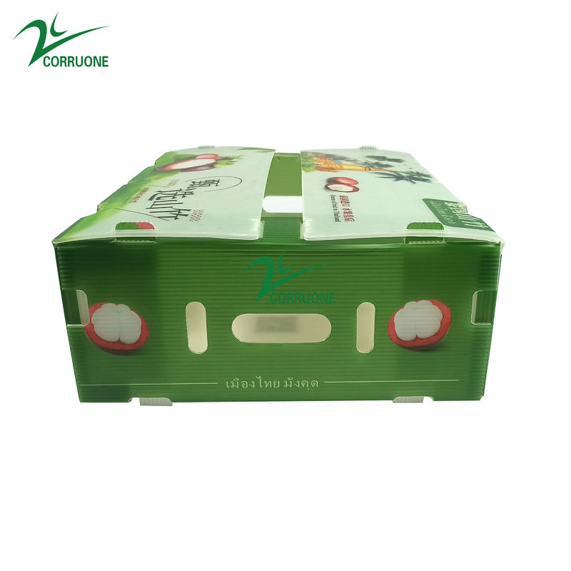 Boîte en plastique ondulé en PP pour les légumes et les fruits Boîte Corflute correx Boîtes d'emballage pour le maïs, le brocoli et l'agriculture