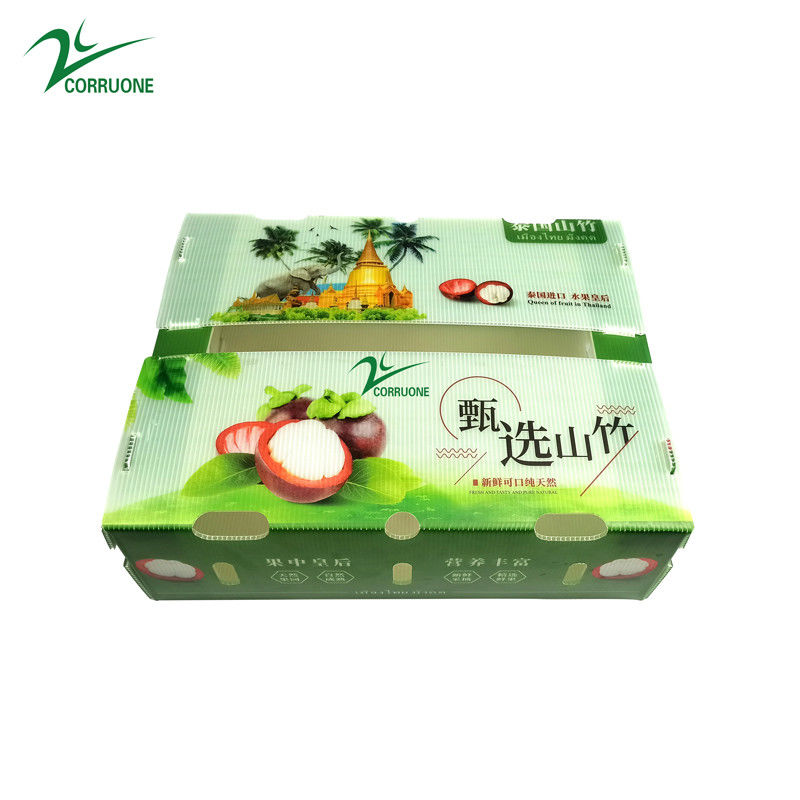 Boîte en plastique ondulé en PP pour les légumes et les fruits Boîte Corflute correx Boîtes d'emballage pour le maïs, le brocoli et l'agriculture