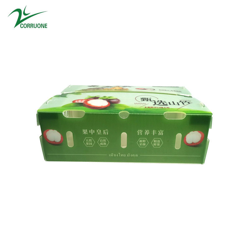 Boîte en plastique ondulé en PP pour les légumes et les fruits Boîte Corflute correx Boîtes d'emballage pour le maïs, le brocoli et l'agriculture