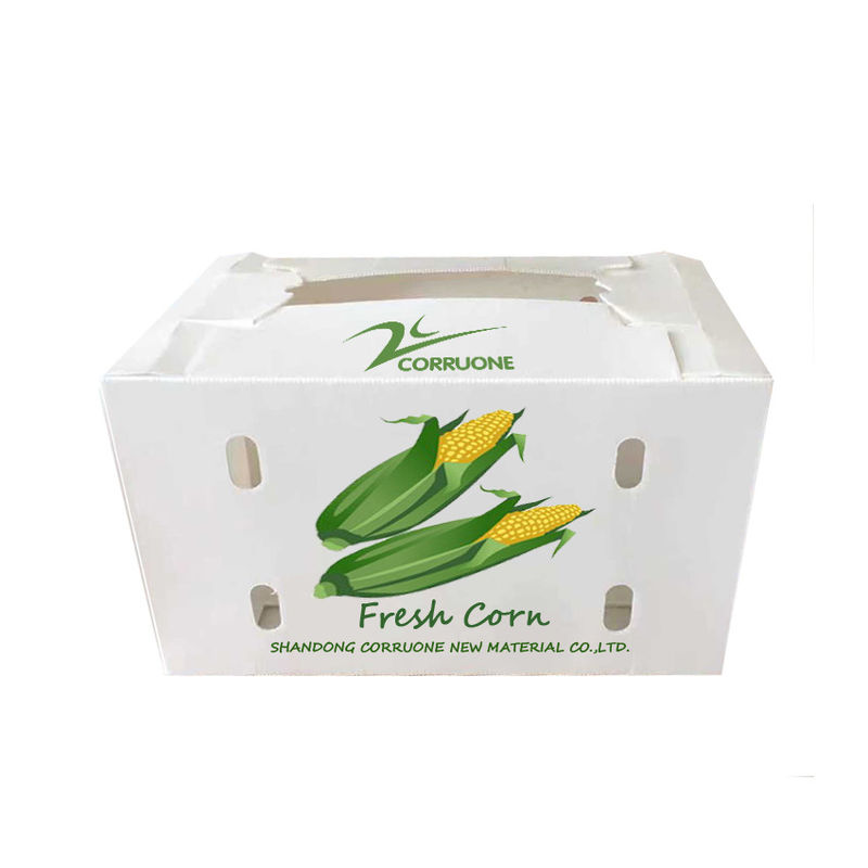 Des boîtes ondulées de légumes pour un stockage optimal protègent vos produits pendant l'expédition