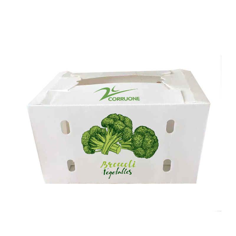 Des boîtes ondulées de légumes pour un stockage optimal protègent vos produits pendant l'expédition