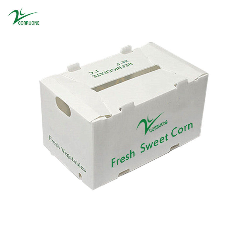 OEM usine produire PP boîte ondulée en plastique pour le maïs doux frais brocoli aubergine boîte de gingembre