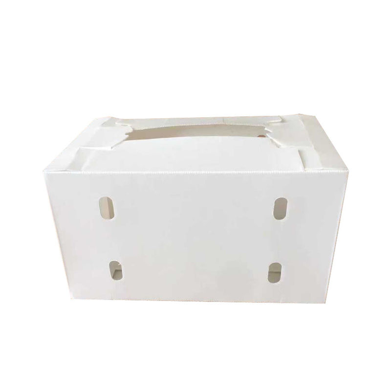 boîte de stockage en polypropylène correx pliable étanche à l'eau boîte de livraison de livraison de fruits frais en PP