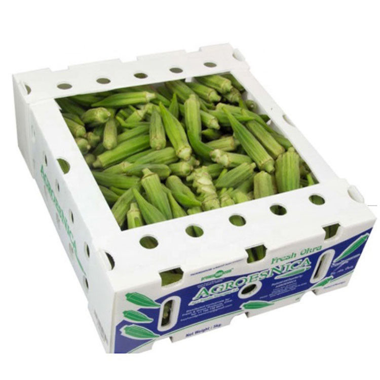 Boîte en plastique ondulé imperméable pliable en PP à vendre à chaud Boîte d'emballage pour agriculture