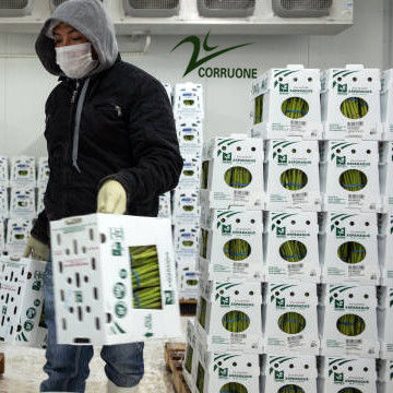 personnaliser des boîtes de rangement de fruits et légumes