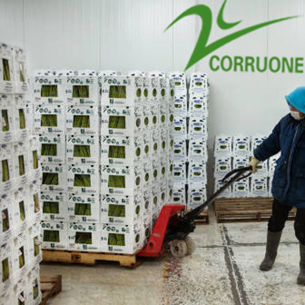 Corriflute noir portent des fruits les boîtes ondulées a ridé les récipients d'entreposage en plastique