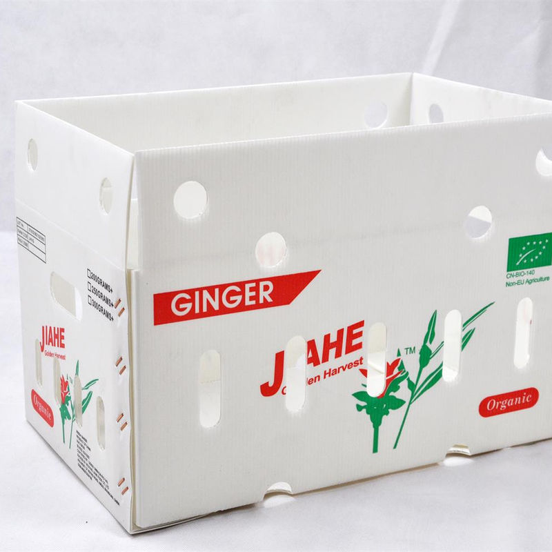 personnaliser des boîtes de rangement de fruits et légumes