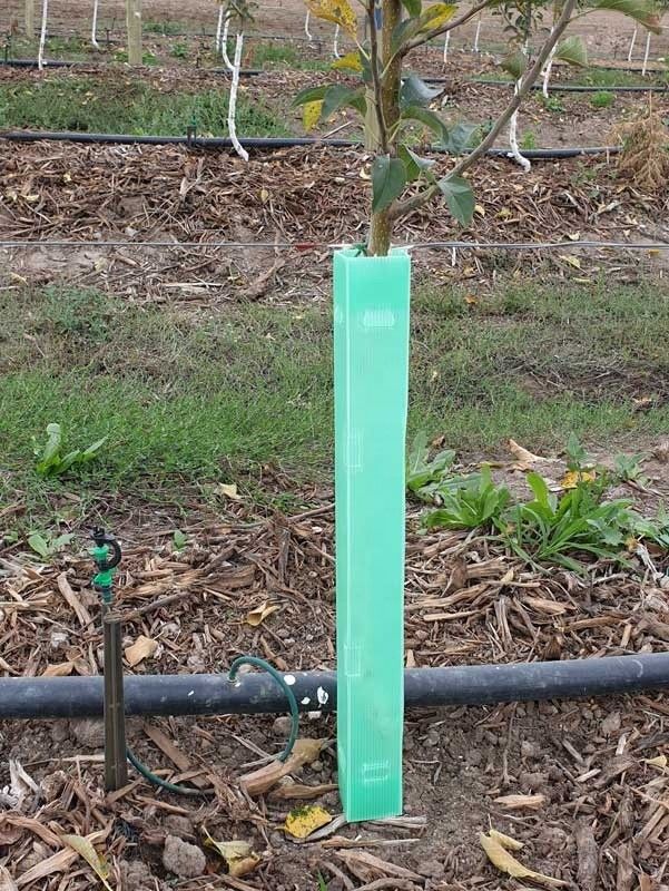 Corruone Chine Vente à chaud Protecteurs d'arbres en plastique ondulé en PP imperméable à l'eau