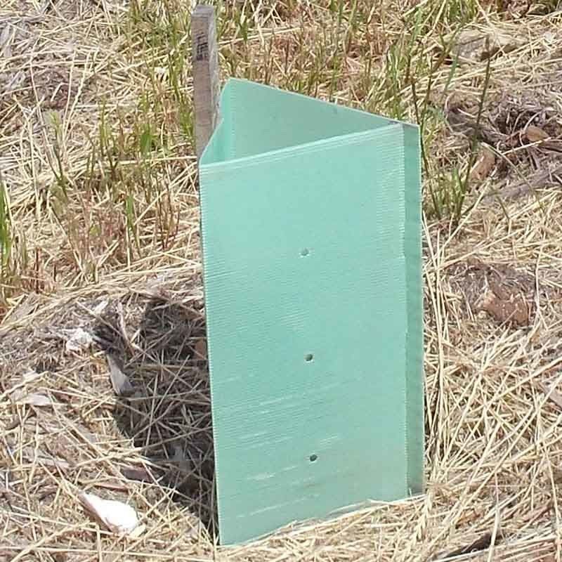 Pp ont ridé les protecteurs en plastique de tronc de Corflute Plastic Tree de garde d'arbre