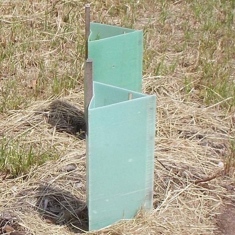 Pp ont ridé les protecteurs en plastique de tronc de Corflute Plastic Tree de garde d'arbre