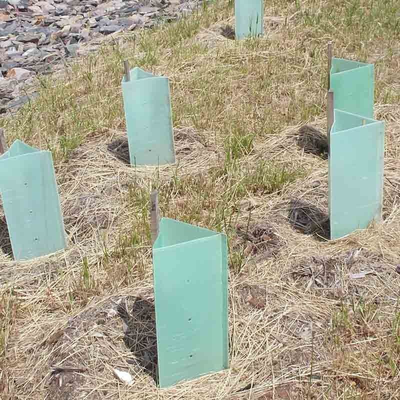 Pp ont ridé les protecteurs en plastique de tronc de Corflute Plastic Tree de garde d'arbre