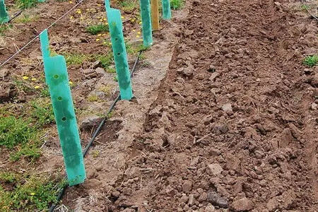 Garde-arbres en plastique ondulé sur mesure en PP pour la protection