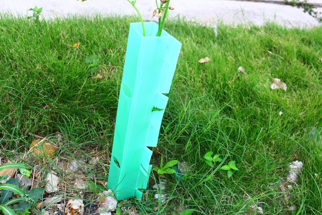 Garde-arbres en plastique ondulé sur mesure en PP pour la protection
