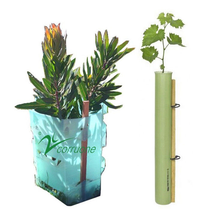 Des protecteurs d'arbres en plastique ondulé en rouleau ondulé en polypropylène de Corruone