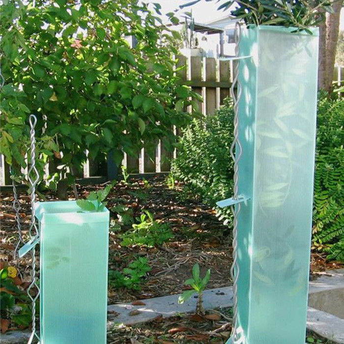 Des protecteurs d'arbres en plastique ondulé en rouleau ondulé en polypropylène de Corruone