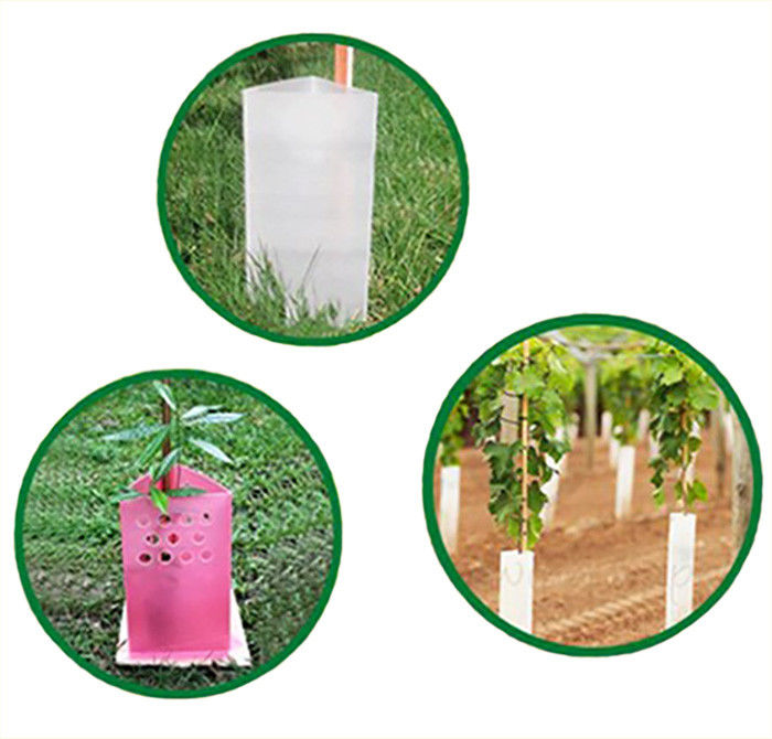 Des protecteurs d'arbres en plastique ondulé en rouleau ondulé en polypropylène de Corruone