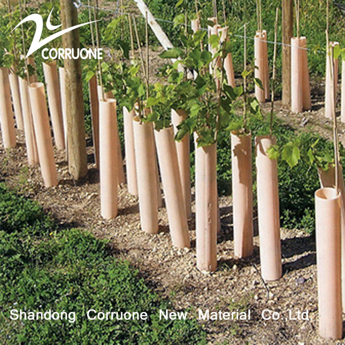 Tubes d'arbres en plastique ondulé écologique recyclable et personnalisable pour une plantation durable
