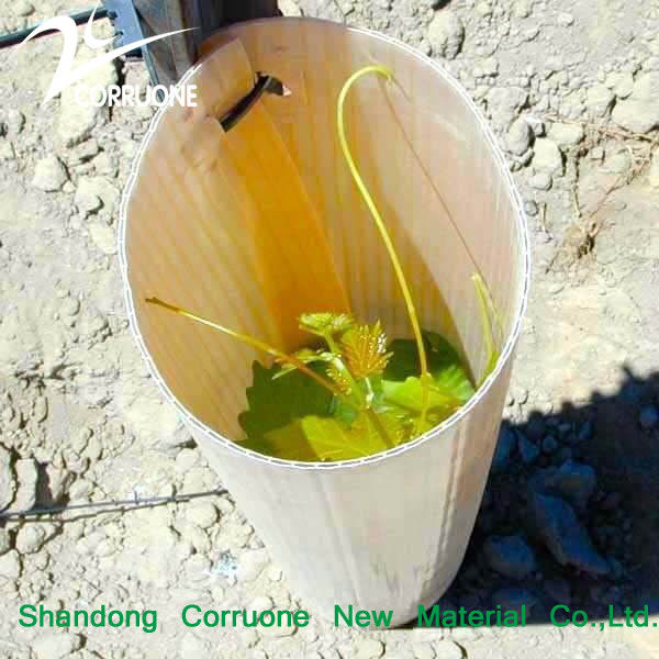 Tubes d'arbres en plastique ondulé écologique recyclable et personnalisable pour une plantation durable