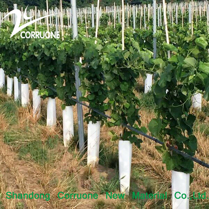 Tubes d'arbres en plastique ondulé écologique recyclable et personnalisable pour une plantation durable