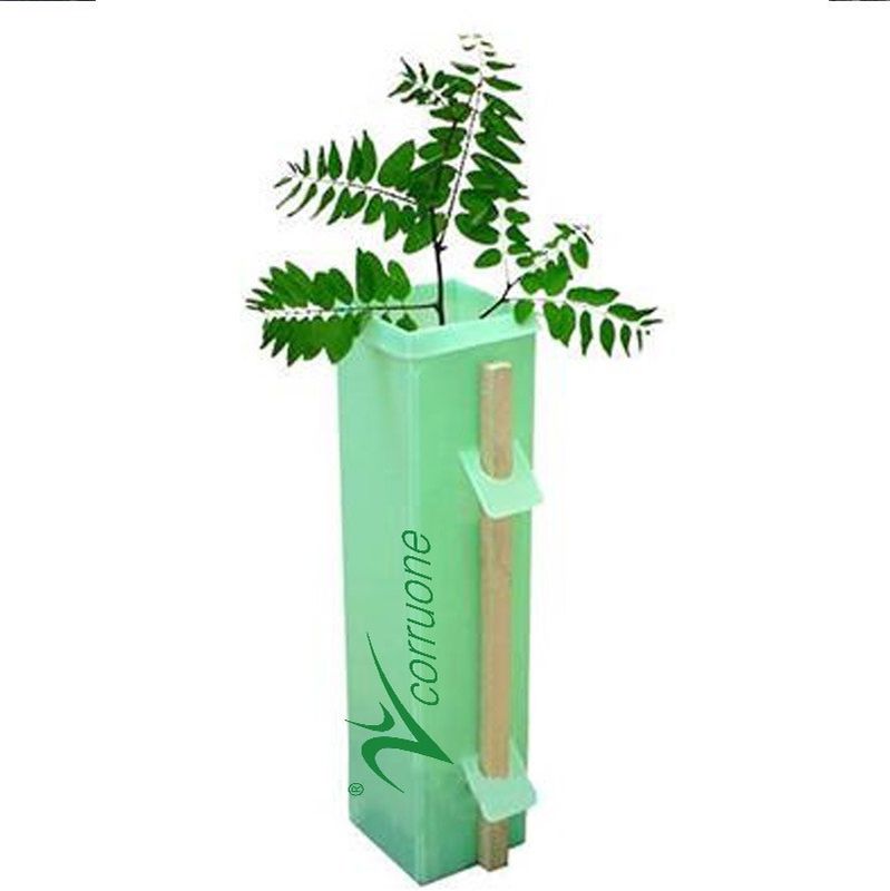 Garde ondulée Tubes d'arbre des protecteurs pp d'arbre de Corflute Plantra