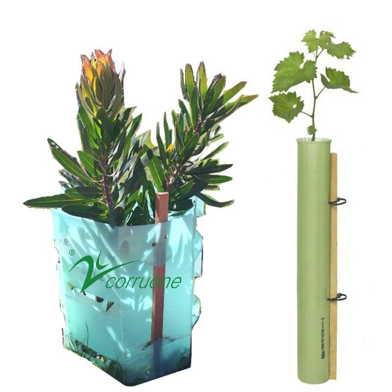 Eco pp a ridé la garde de plastique d'arbre que Green Corflute Guards imperméabilisent