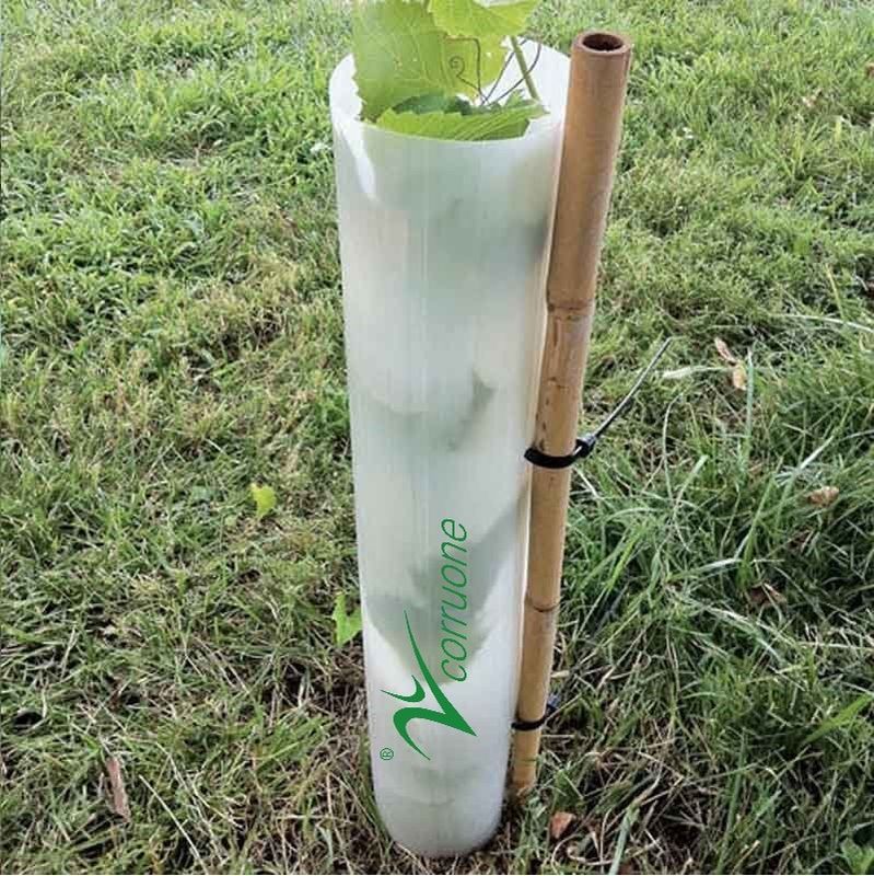 Eco pp a ridé la garde de plastique d'arbre que Green Corflute Guards imperméabilisent