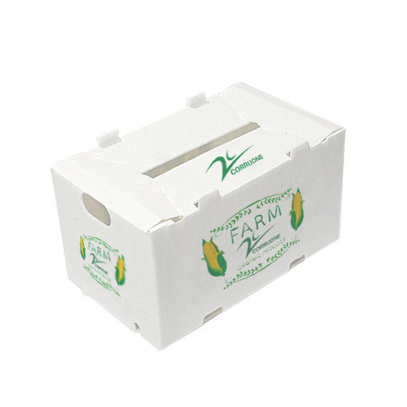 Boîtes en plastique PP en plastique ondulé pour les légumes et les fruits