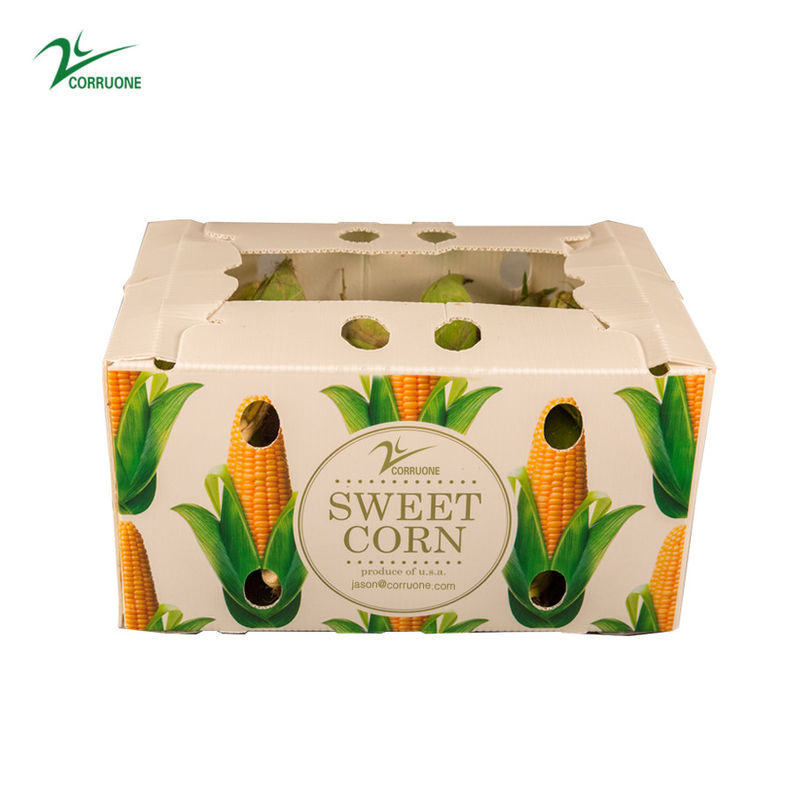 Boîte de stockage en plastique en PP Boîte en plastique ondulé en PP pour les légumes, les fruits et l'agriculture Boîte d'emballage